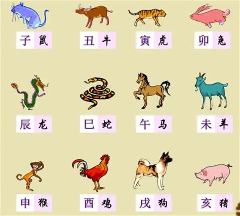 74生肖|【十二生肖年份】12生肖年齡對照表、今年生肖 